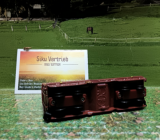 1664- Güterwagon,neu und unbenutzt, beschädigte Verpackung,Bister