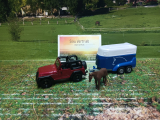 1651 - Jeep mit Pferdeanhänger
