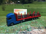 1659 - Holz-Transport LKW,Siku Blister,neu in OVP