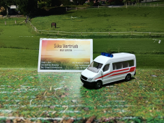 0805 038 03-Rettungsdienst Österreich,Siku International,Blister,neu in OVP