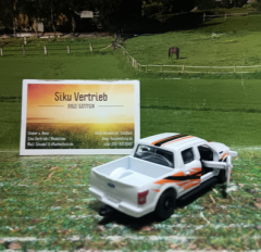 1109- Ford F150, Siku Blister,Neuheit 2026,neu in OVP
