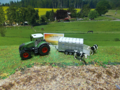 1956 - Fendt  mit Viehanhänger,1:50,neu in OVP